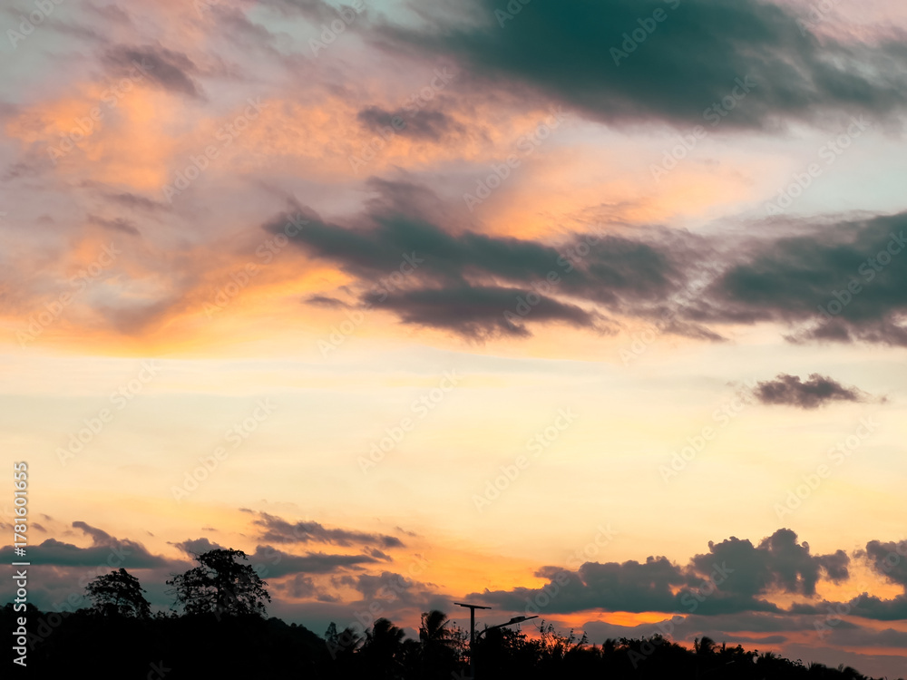 Fototapeta premium Dramatic Sunset Sky with Silhouette of Trees