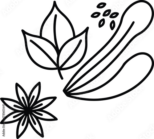 Culinary Herbs and Spices Line Art Transparent Background