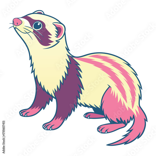 Ferret Color Vector Illustration
