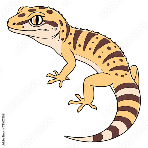 Leopard Gecko Color Vector