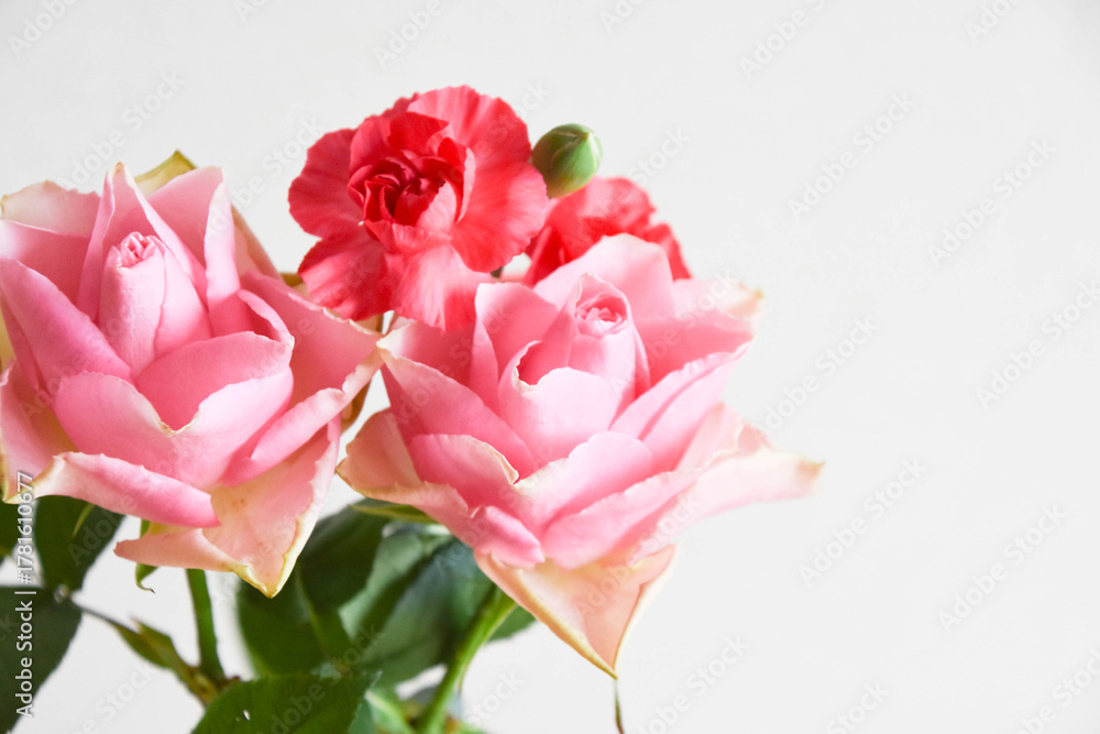 Fototapeta premium 薔薇とカーネーション