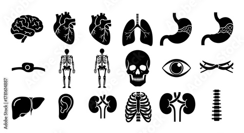 Human organs and anatomy icons set brain, heart, lungs, stomach, skeleton and other signs