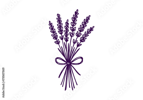 Lavender hand drawn simple sketch vector illustration