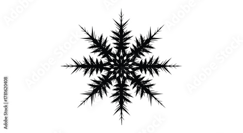 Intricate black snowflake silhouette with sharp spiky branches against a white background