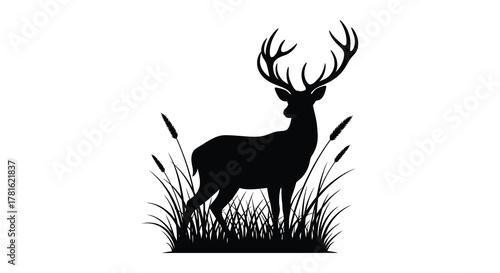 Majestic stag silhouette standing proudly amidst tall grasses and reeds in a natural landscape