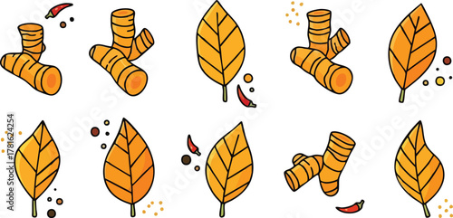 Collection Of Turmeric Roots And Leaves With Chili Peppers And Spices On White Background