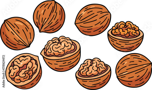 Collection of Whole and Halved Walnuts in Pixel Art Style on White Background