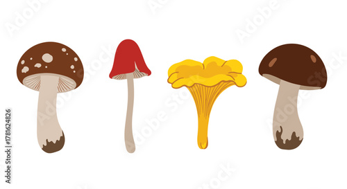 An illustrative collection of diverse cartoon mushrooms featuring distinct species like chanterelles, porcini, and spotted varieties.