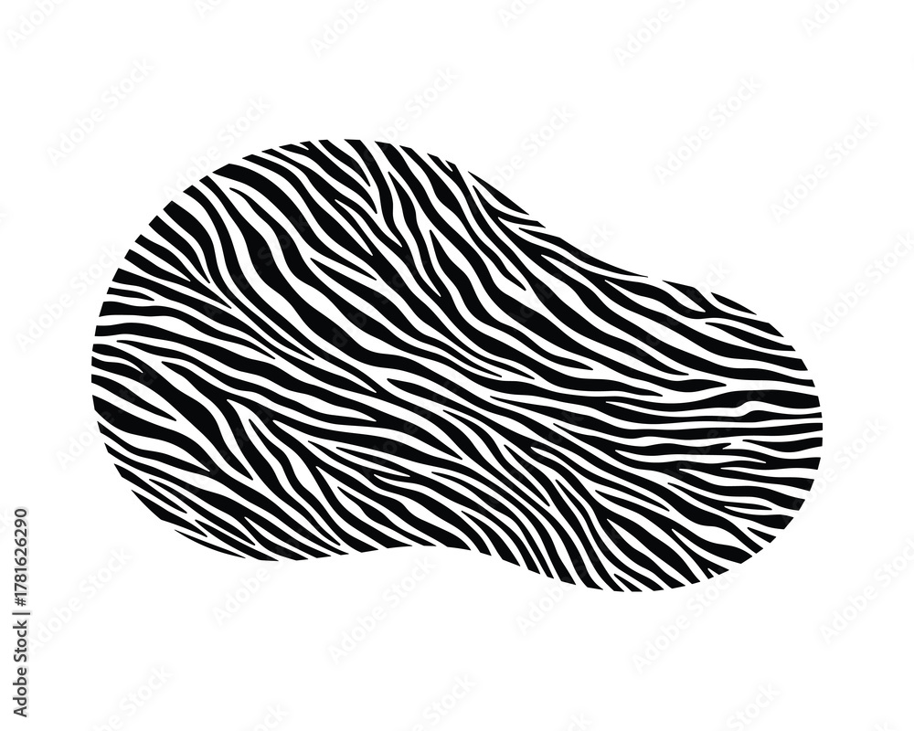 Obraz premium Abstract black and white zebra skin pattern organic shape animal texture background for design projects