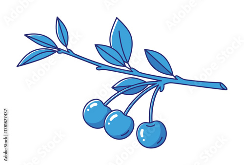 Blue berries with leaves on a branch fruit vector illustration isolated on white background