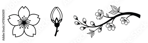 Outline icons of cherry blossom flower bud and branch for spring and garden illustrations