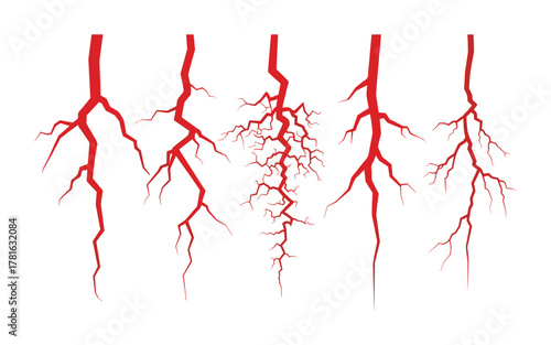 Red vascular system set on white background for medical or biological illustrations