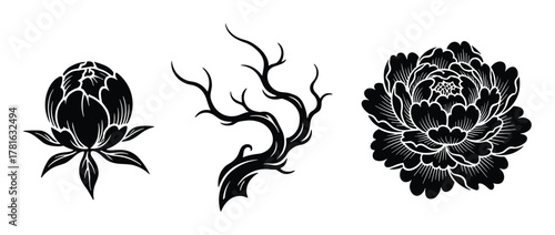 Set of black and white floral illustrations featuring a peony bud, a gnarled tree branch, and a fully bloomed peony flower
