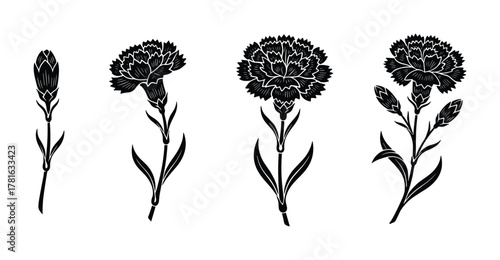 Set of four black and white carnation flower silhouettes depicting various stages of blooming