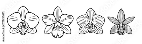 Set of four outline orchid flower illustrations showcasing different orchid species in black and white