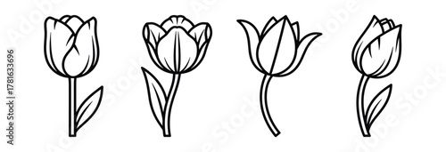 Set of four outline tulip flower illustrations with varying angles and leaf details