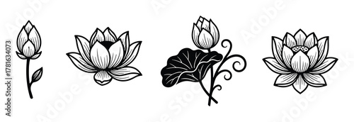 Set of lotus flower line art illustration, blooming lotus bud black silhouette graphic design