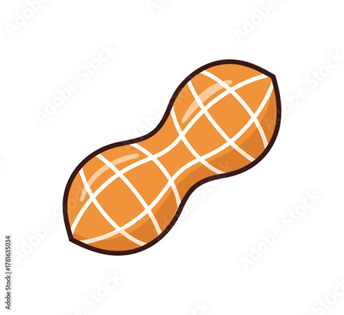 Single peanut in shell with detailed texture and linear patterns on a clean white background