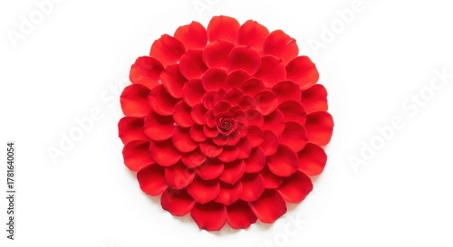 Wallpaper Mural Vibrant red rose petals artfully arranged in a circular pattern on a clean white background Torontodigital.ca