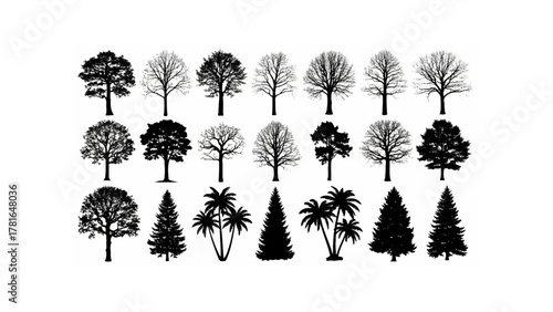 Silhouette collection of various tree types including deciduous evergreen and palm trees isolated