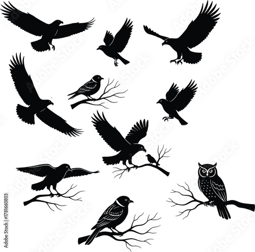 Bird silhouettes, flying birds, perched birds, owl on branch, black shapes, wing positions, nature illustration, avian anatomy, minimalist wildlife, artistic design