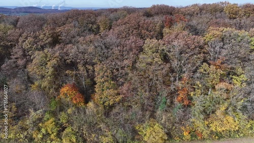 Vue aérienne d'une lisière de forêt en automne, début novembre. le feuillage est déjà disparate, beaucoup d'arbres ont souffert de la sécheresse en été. 