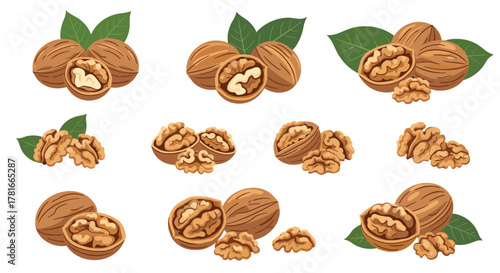 A diverse assortment of nutritious walnuts featuring whole nuts, cracked shells, and exposed kernels, some with green leaves.