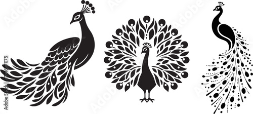 Three Elegant Peacock Silhouette Designs