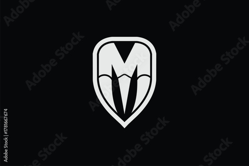 abstract letter M monogram vector image logo template