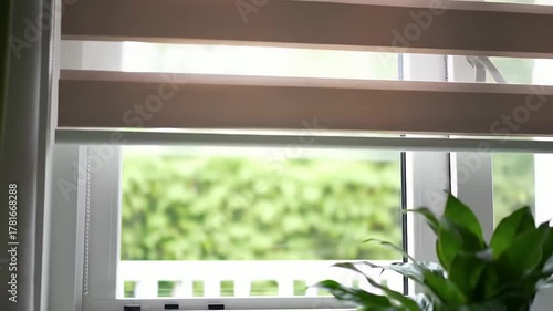 Green Plant In Front Of Window With Zebra Blinds Natural Daylight With Blurred Outdoor Trees Background