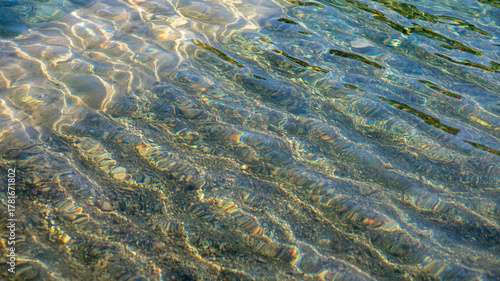 Vibrant Sunlight Filters Through Clear Shallow Water, Creating Mesmerizing Iridescent Patterns on the Textured Aquatic Bottom.