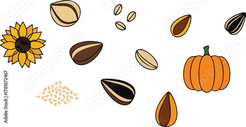 Diverse Seeds And A Small Pumpkin With A Sunflower On White Background