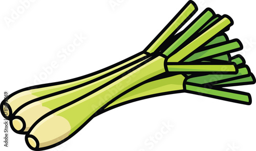 Illustration Of A Bunch Of Green Lemongrass Stalks With Light Yellow Bases Isolated On A White Background
