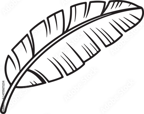 Banana leaf vector outline drawing tropical plant foliage element for design projects and botanical themes