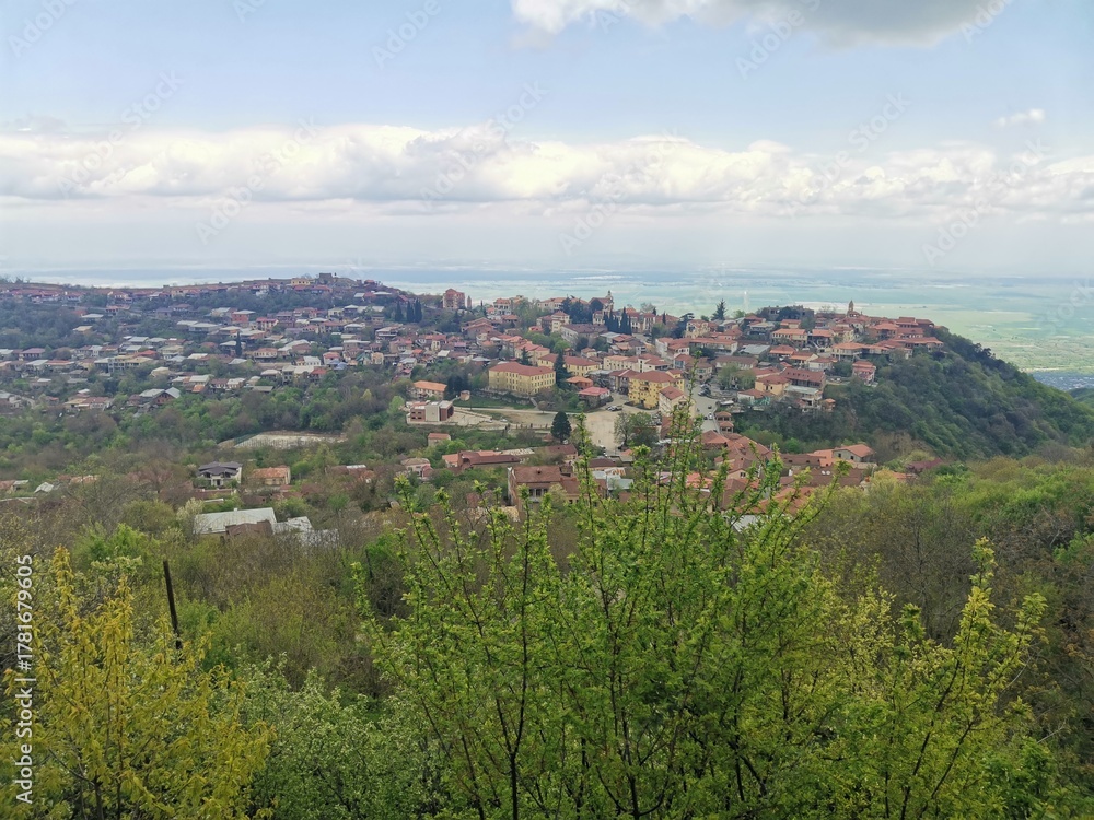 Obraz premium Hilltop town above green forest valley