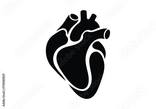 Human heart icon anatomical organ isolated vector illustration on white background