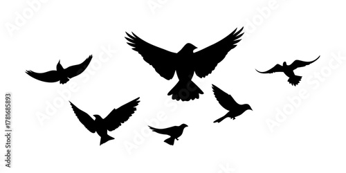 Silhouette of a flock of birds flying