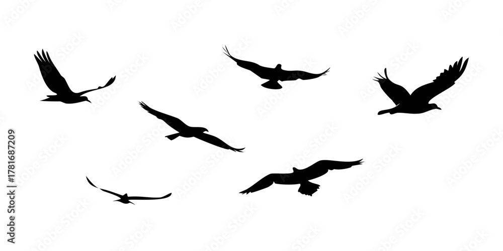 Obraz premium Silhouette of a flock of birds flying