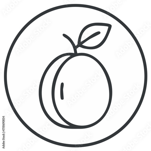 Outline of a plum with a leaf inside a circle