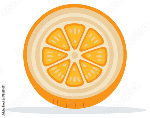 Freshly cut orange fruit slice, illustration, showing the pulp and texture, isolated.