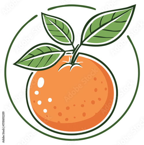 Orange fruit illustration with leaves and a decorative green circle