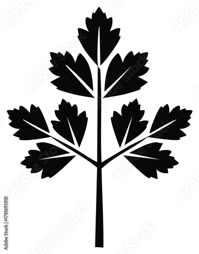 Simple black silhouette icon of a parsley or cilantro herb sprig