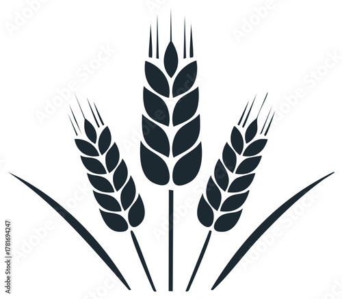 Stylized vector illustration of wheat grain stalks ideal for farming bread and natural food concepts