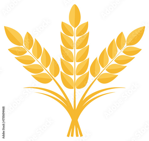 Stylized wheat stalks with leaves and stems isolated on white background