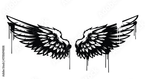Black and white graffiti-style wings with paint splatters and drips, symbolizing freedom and urban artistic expression.