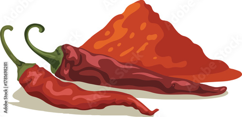 Dried red chili peppers with a pile of ground chili powder spice for hot and spicy cooking isolated vector illustration