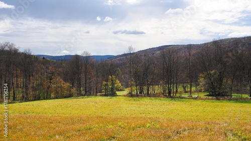 Beautiful green fields descend a hill, with a touch of autumn color and bare trees in late fall. Grey sky with clouds. Landscape, afternoon. Southern Catskills, New York State, USA