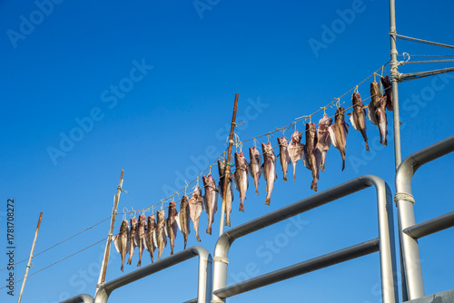 Fényképezés  Cod from the fishing village