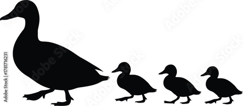 Silhouette of a mother duck walking with her three ducklings isolated on white background, creating a charming and heartwarming scene