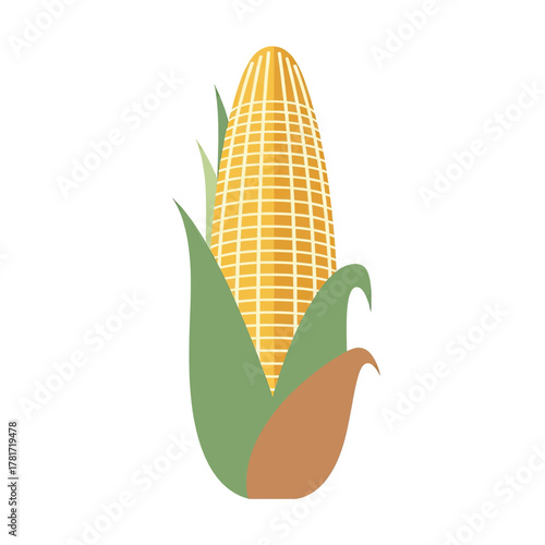 A simple vector illustration of a single ear of yellow corn on the cob with green husks, isolated on a white background.